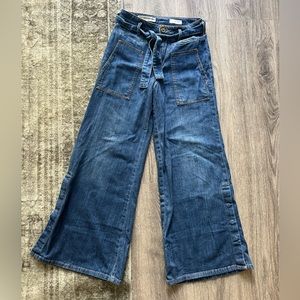 Anthropologie wide leg pants